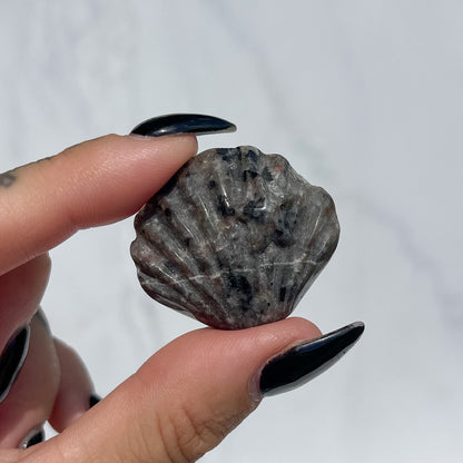 Mixed Seashells with Starfish - Pick your own
