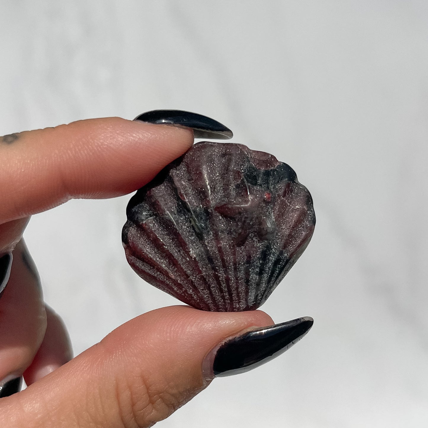 Mixed Seashells with Starfish - Pick your own