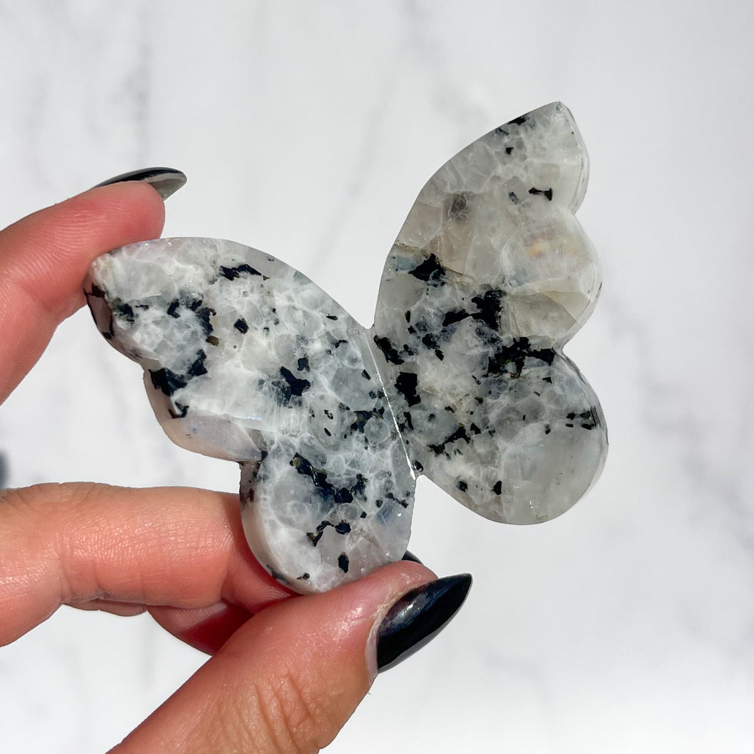 Rainbow Moonstone 3D Butterfly 02