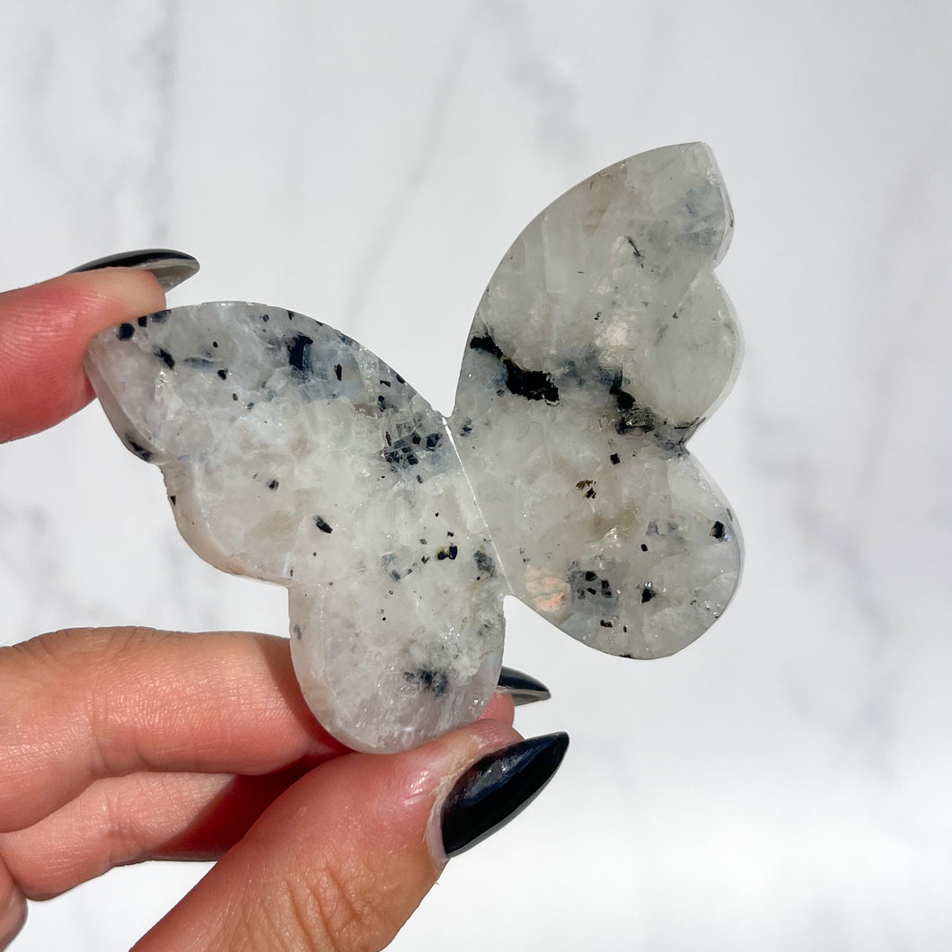 Rainbow Moonstone 3D Butterfly 01