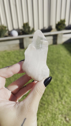 Himalayan Quartz Cluster